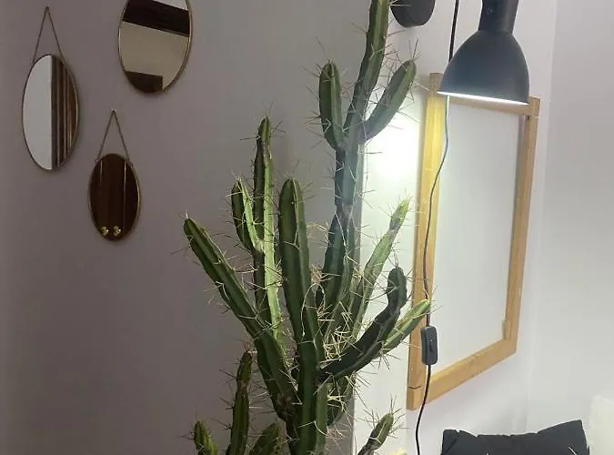 Rincon Del Cielo * Castejón de Sos